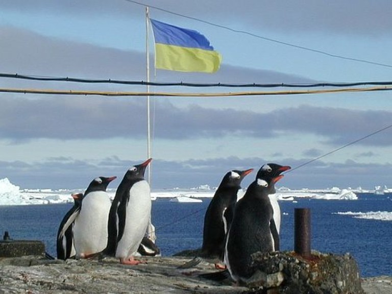 Директор НАНЦ: Украина осталась в долгу за ротацию полярников