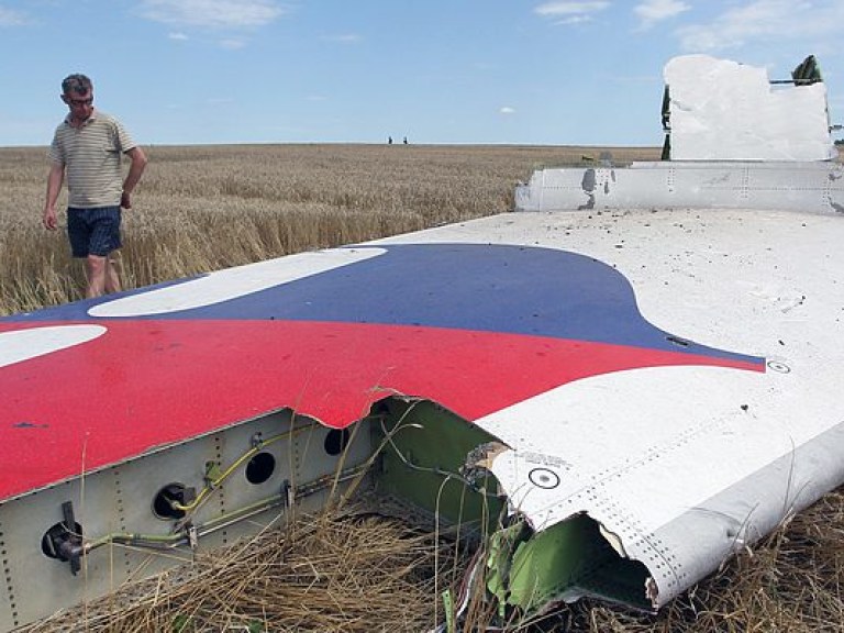 На Донбассе завершены поиски останков жертв разбившегося &#171;Боинга&#187; MH17