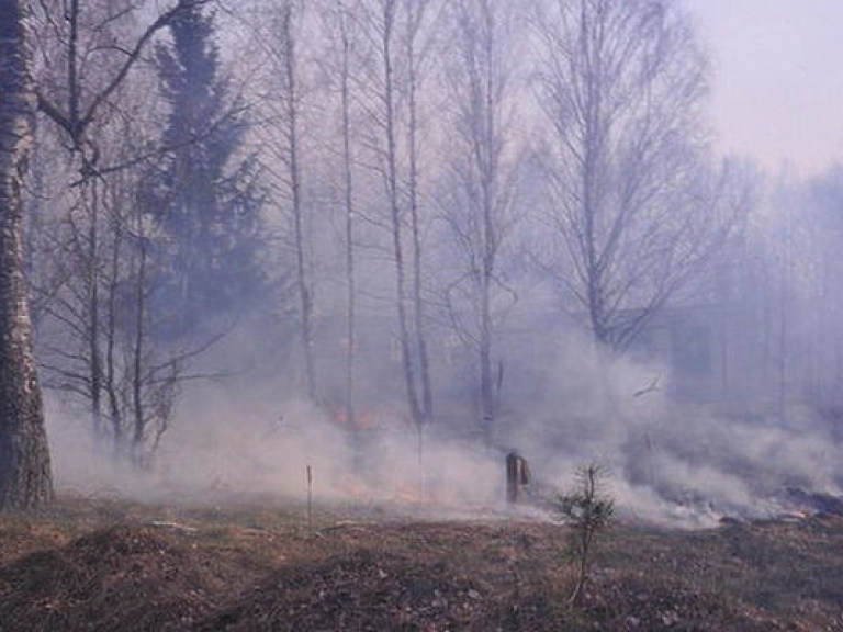 Эксперт рассказал, какой пожар в Чернобыле был бы опасен для Киева