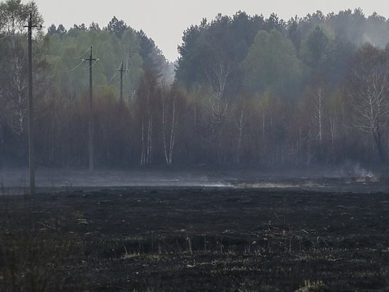 Эксперт: Первые жертвы пожара в Чернобыльской зоне &#8212; ликвидаторы