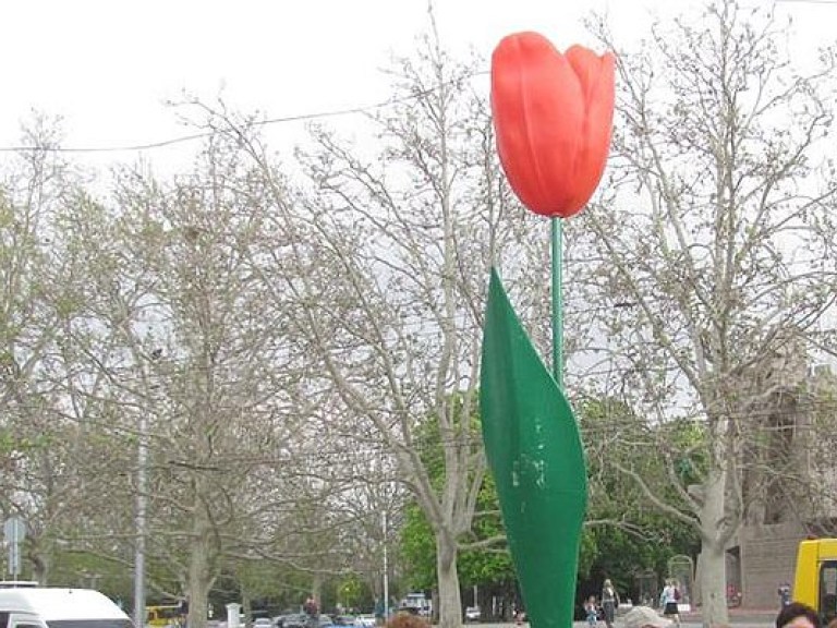 В Севастополе ко Дню Победы установили семиметровые тюльпаны (ФОТО)