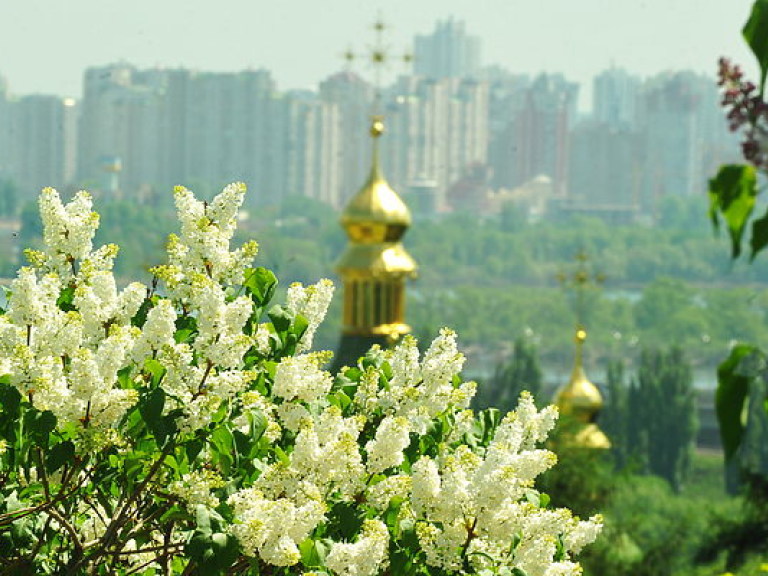 Погода на завтра: в столице будет тепло и без осадков