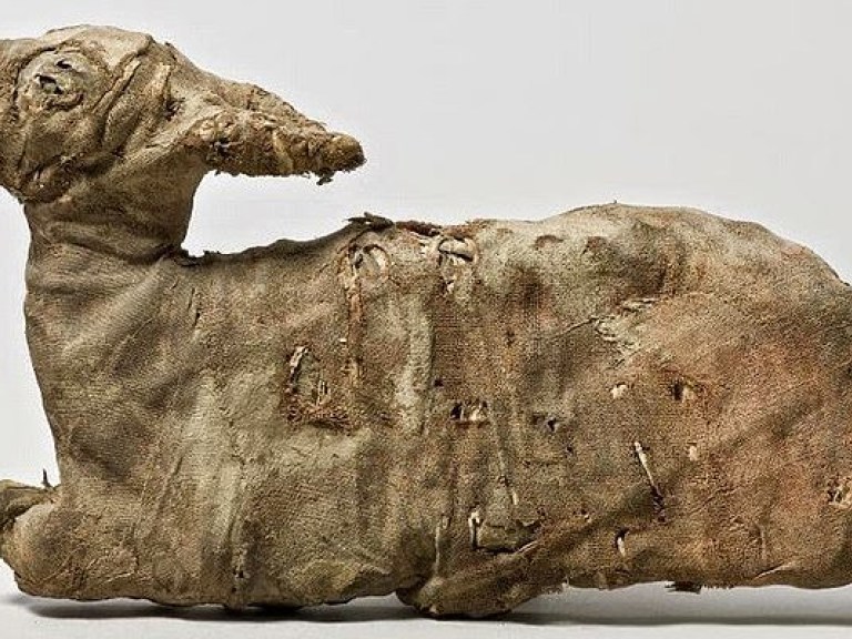 Треть египетских мумий животных оказались подделками