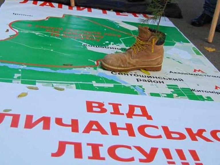 Скандал вокруг Беличанского леса: кому выгодно делить землю под Киевом?