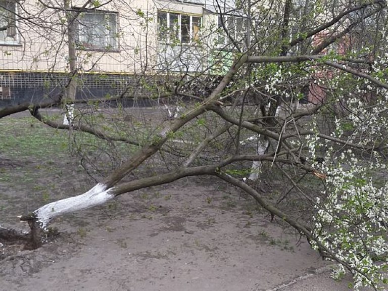 В Киеве объявлено штормовое предупреждение