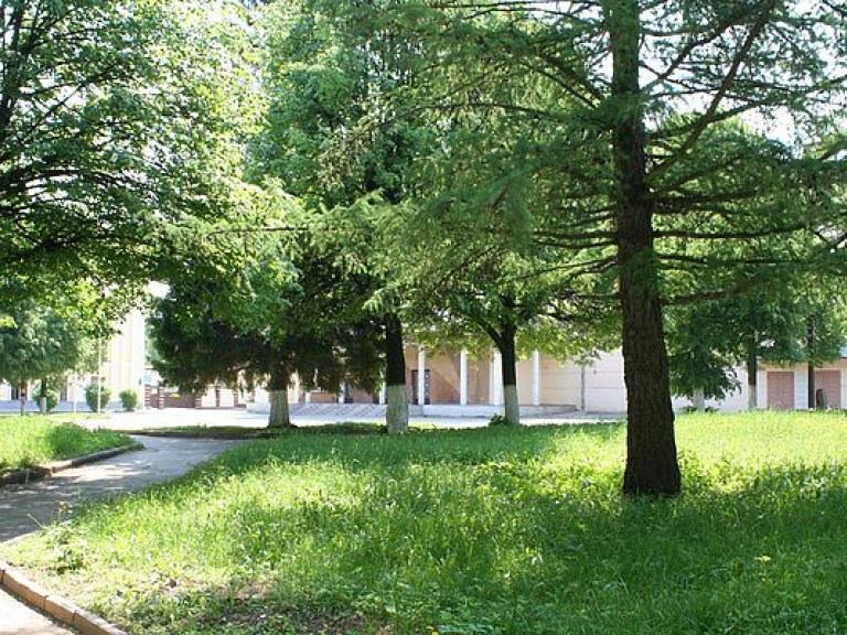 Ко Дню города в Киеве откроют 15 скверов