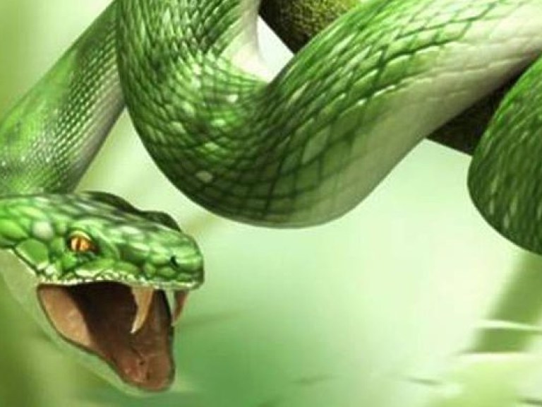 Одесскую область атакуют змеи