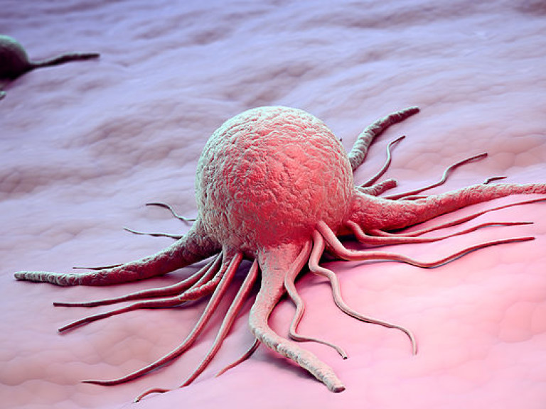 Раковые клетки могут «спать», избегая последствий химиотерапии – ученые