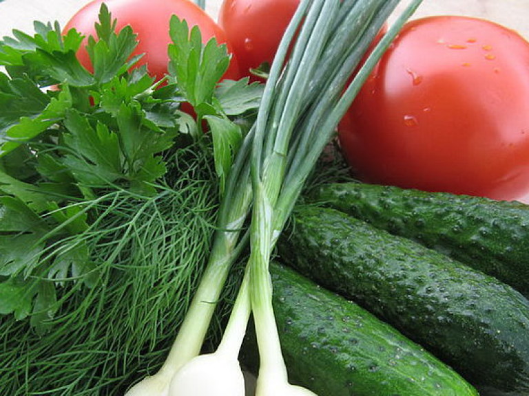 Диетолог: Правильное питание поможет выжить летом в запыленном городе