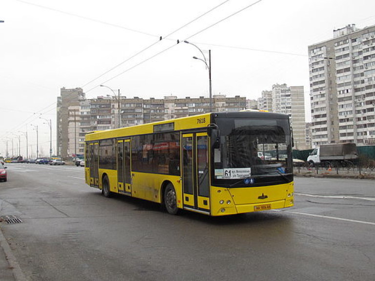 В течение 10 дней водители автобусов в Киеве нарушили ПДД более 500 раз — ГАИ