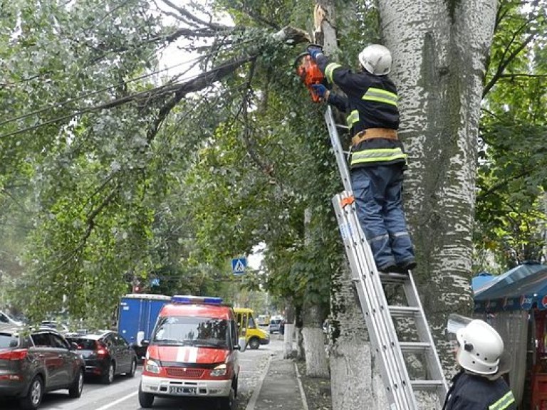 Прифронтовые села в Луганской области остались без света из-за урагана