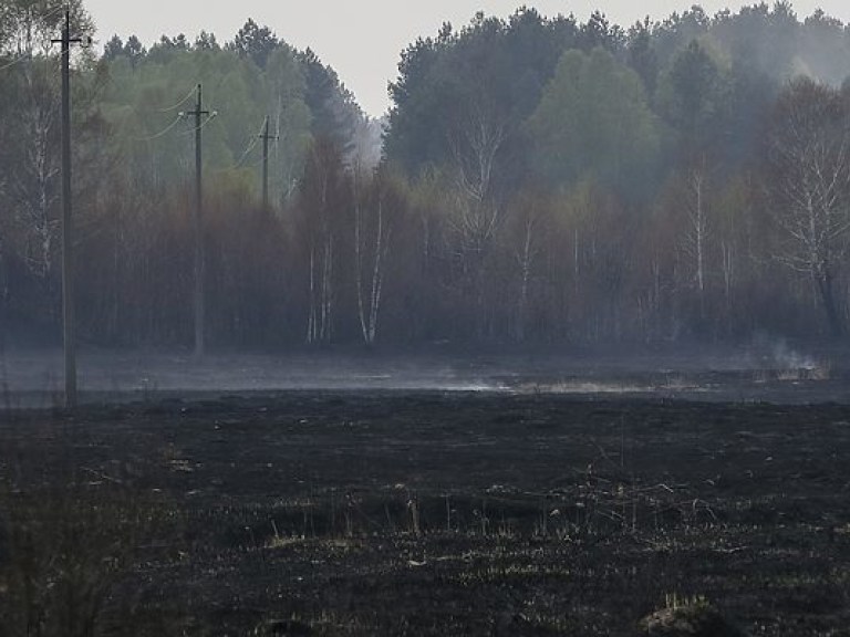 ГСЧС: в Чернобыльской зоне продолжается тушение очагов тлеющего торфа на площади 14 гектаров