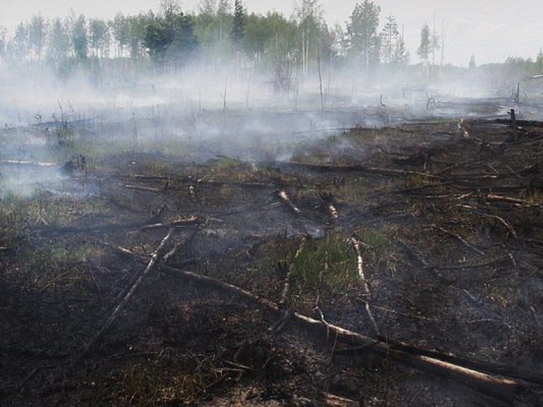 ГСЧС: Кроме Чернобыльской зоны торфяники горят еще на площади 4,2 га в Киевской области