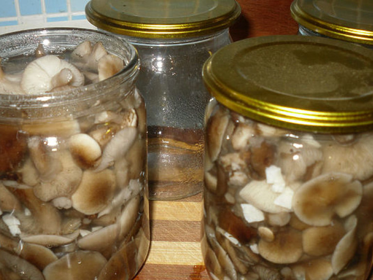 Инфекционист рассказала, в каких продуктах содержится возбудитель ботулизма