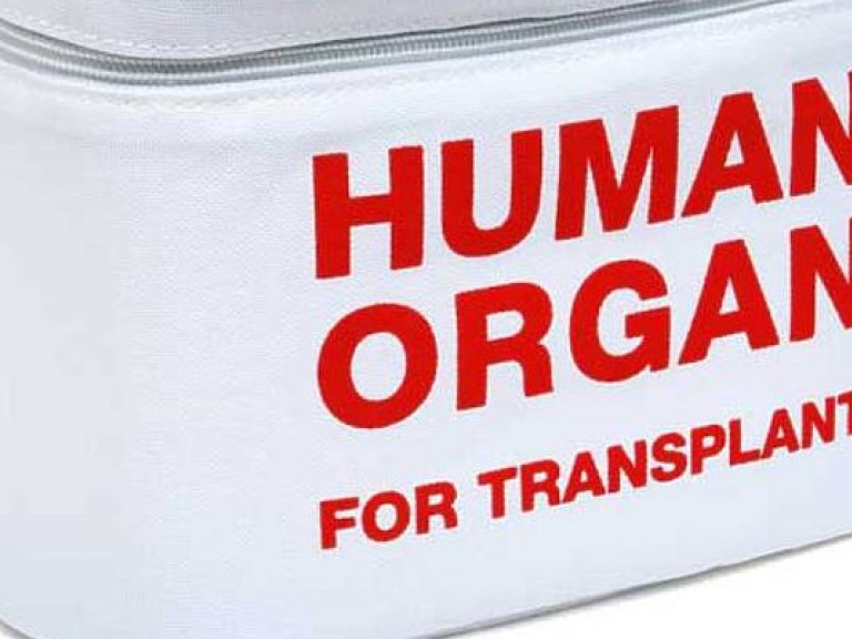 Ирина Спирина: предлагаемый законопроект о трансплантации органов приведет к росту преступлений и серьёзным общественным конфликтам