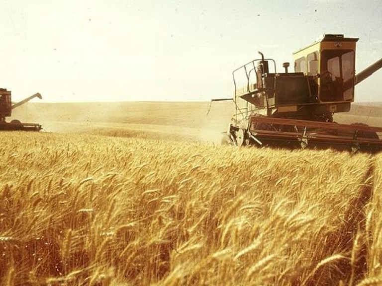 С начала июля Украина экспортировала 1,7 миллионов тонн зерна