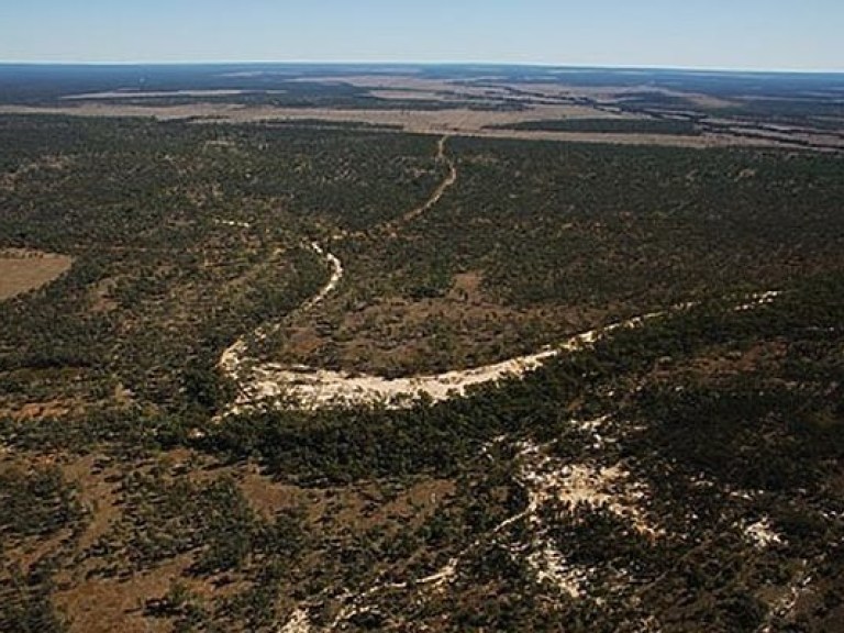 В Австралии из-за двух редких ящериц сорвалось строительство крупнейшей шахты