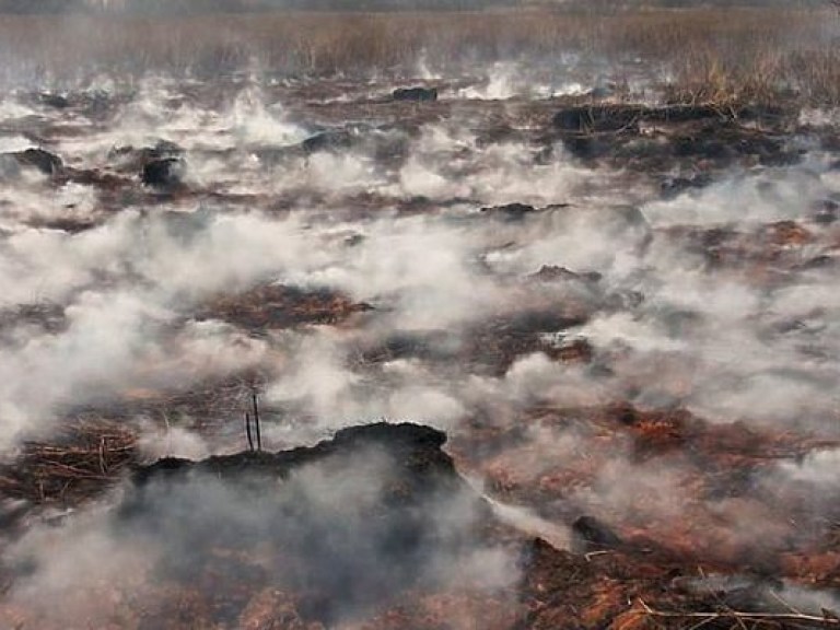 Под Киевом в 11 местах горят торфяники