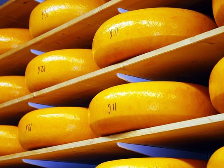 Сыр в мышеловке: Чем обернется для России уничтожение &#171;санкционных&#187; продуктов
