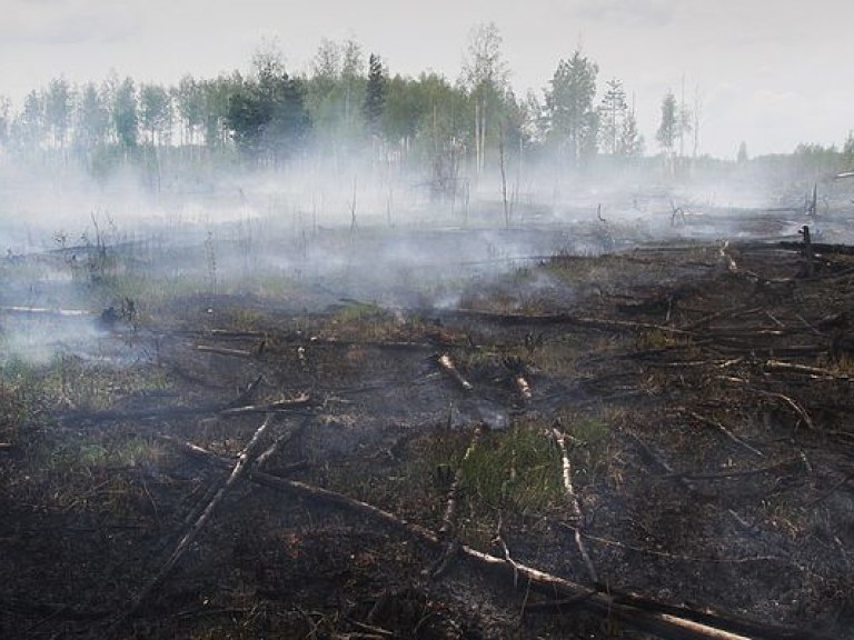 Эколог назвал главную причину горения торфяников в Украине