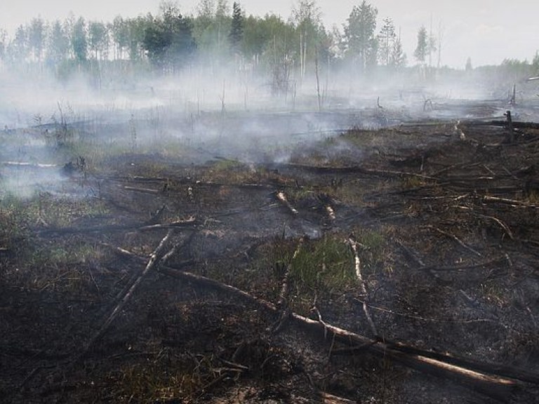 ГСЧС: в Киевской области продолжаются торфяные пожары в 6 зонах на общей площади почти в 6,5 га