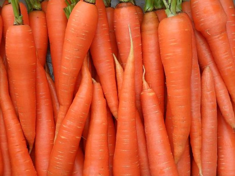 Аграрий: Стоимость капусты и моркови в Украине повысится на 60-80%