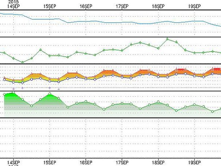 Синоптик: В Украину идет «бабье лето» (КАРТА)