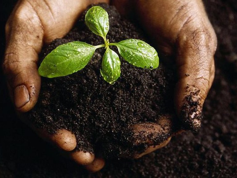 Украина не готова к продаже земли