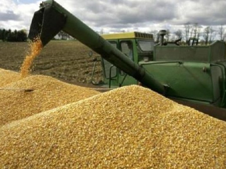 В Украине намолотили почти 50 миллионов тонн зерна &#8212; Минагрополитики