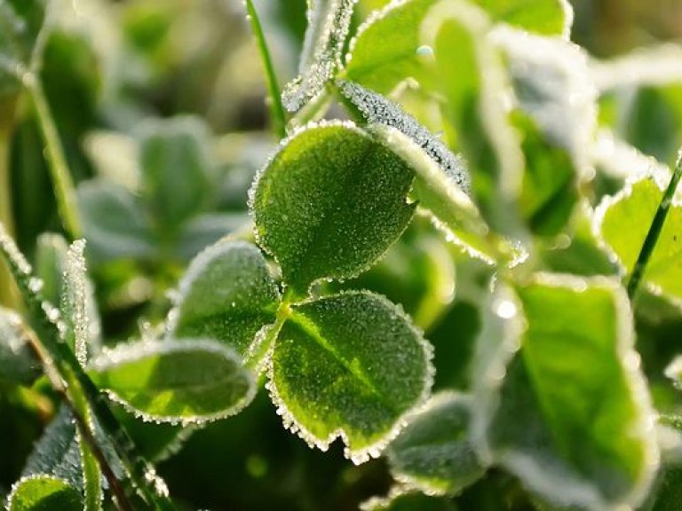 Синоптик: 4 ноября — последний день перед похолоданием (КАРТА)