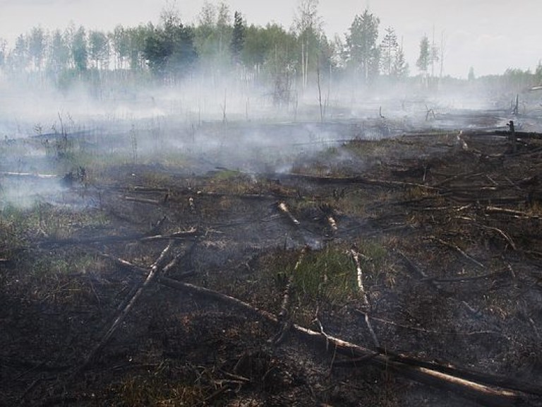 В Киевской области не наблюдается горение торфяников и травы — ГСЧС