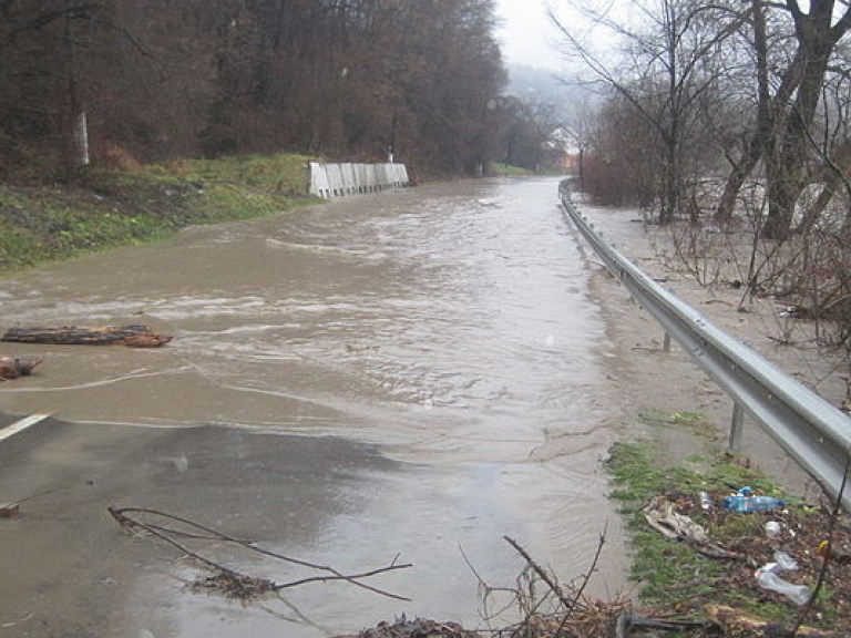 Наводнения в Закарпатье происходят из-за нарушений норм строительства дамб &#8212; эксперт