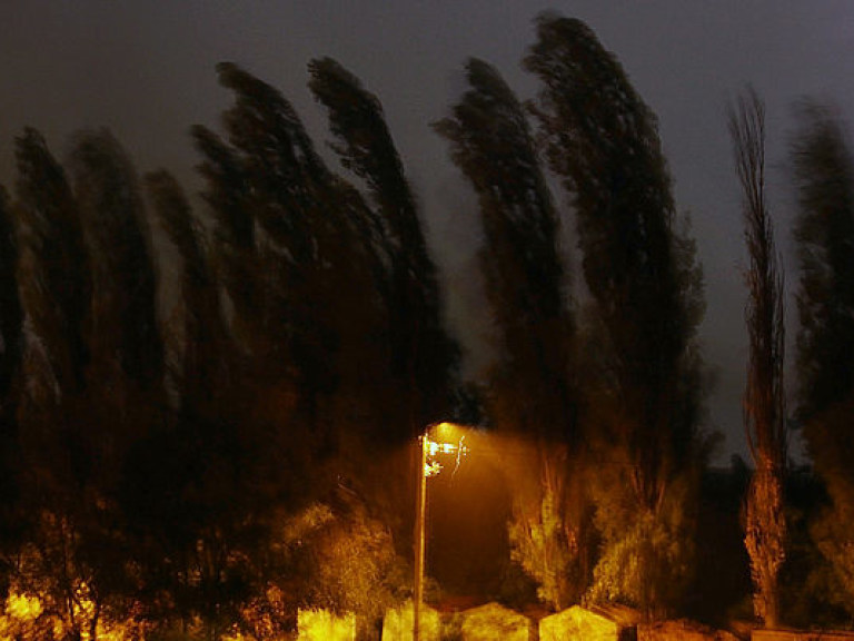 На Севере Украины объявлено штормовое предупреждение в связи с сильными порывами ветра