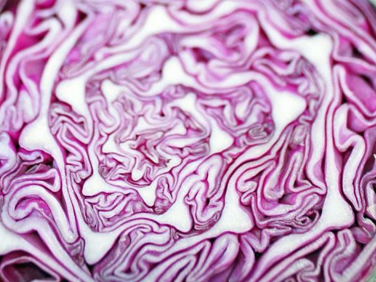 Краснокачанную капусту можно использовать для лечения бронхита — медики