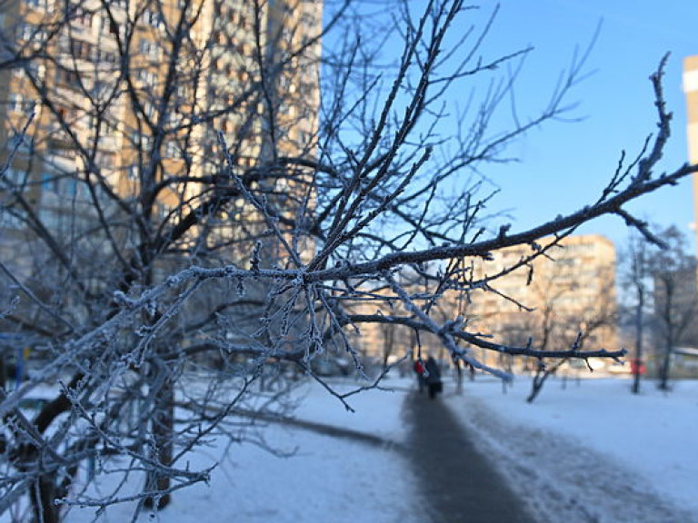 Настолько поздняя зима в Украине последний раз была 135 лет назад — климатологи