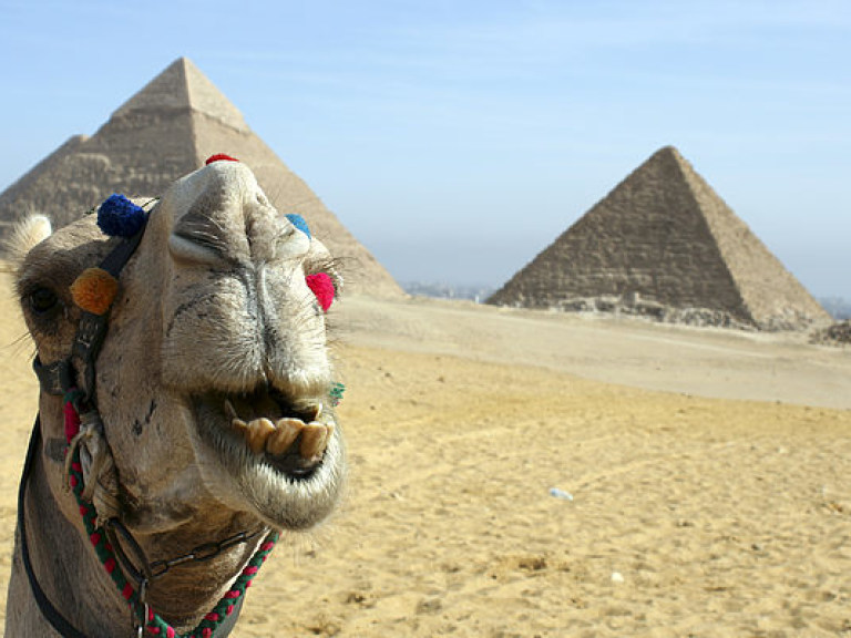 В Египте боевики обстреляли автобус с туристами