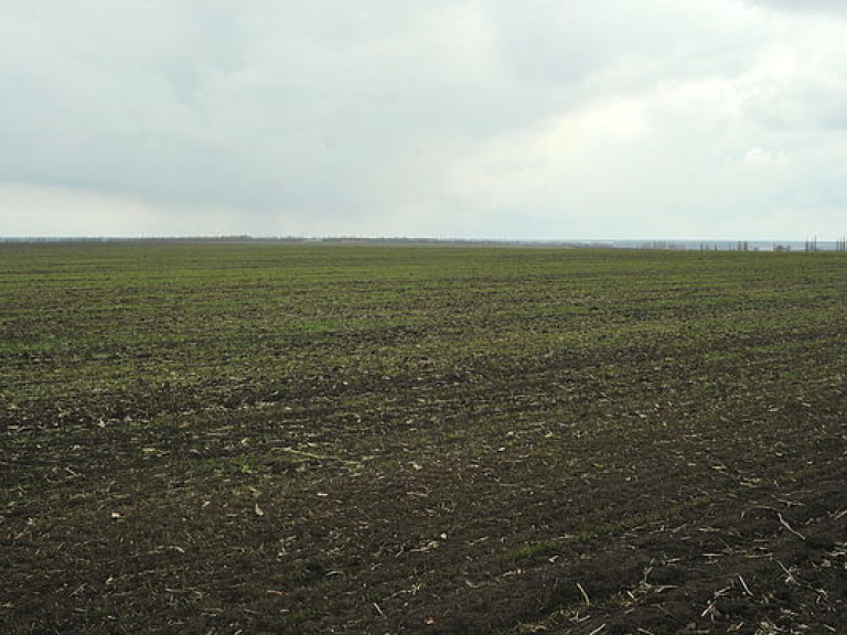 Эксперты рассказали, сколько стоит гектар украинской земли