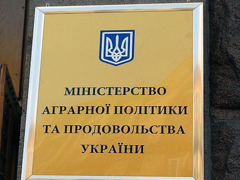 Глава Гослесагентства Ковальчук подал в отставку вслед за Павленко
