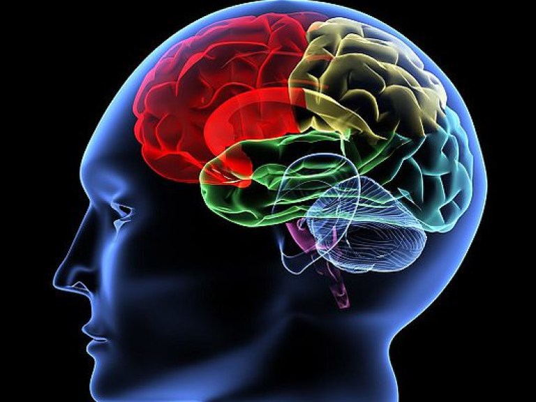 «Диета для ума» защитит от болезни Альцгеймера &#8212; специалист
