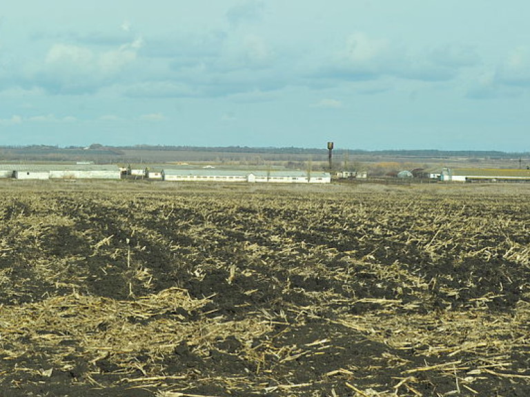 В 2015 году Украина нарастила экспорт зерновых в страны Азии