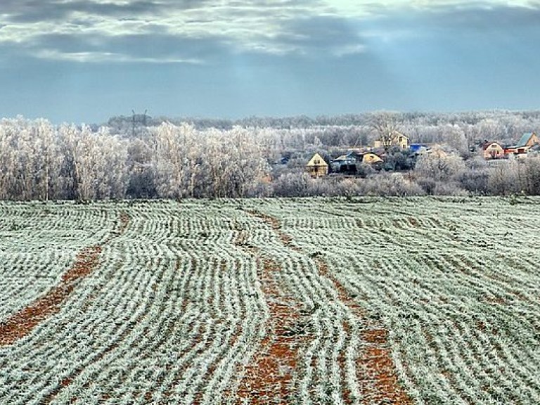 В 2016 году урожай зерновых в Украине снизится до 56,8 млн тонн &#8212; эксперт