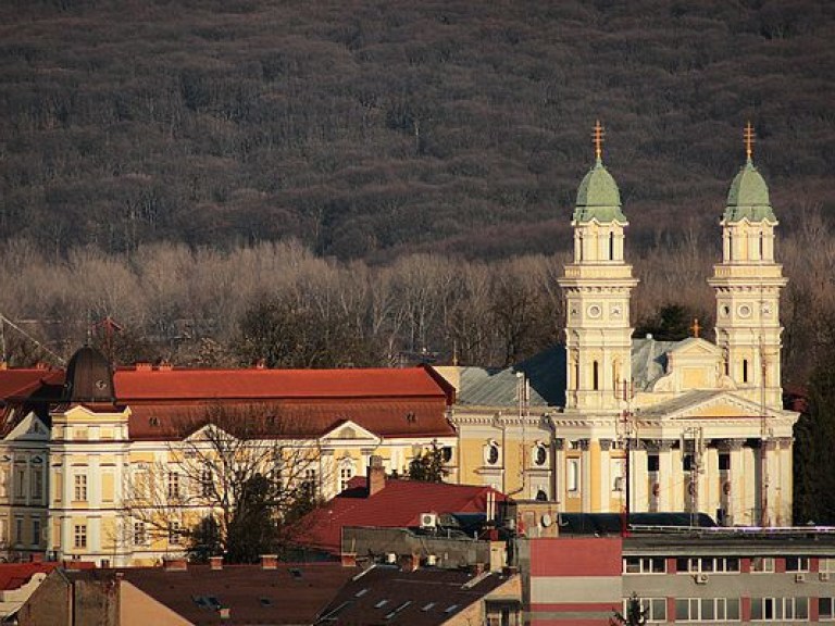 Возле Ужгорода обнаружили труп школьника без головы
