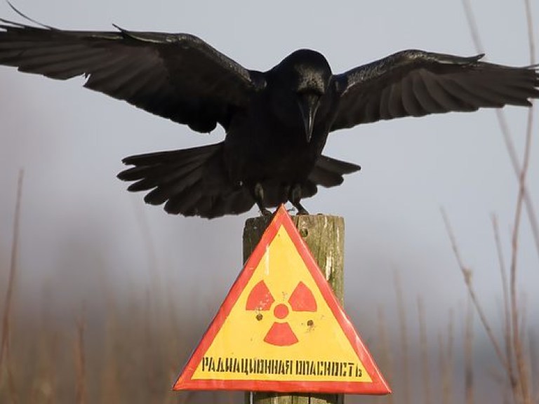 В Чернобыльской зоне задержали очередного любителя «радиоактивного» металлолома