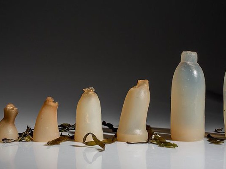 Вместо пластиковых бутылок могут начать использовать емкости из переработанных водорослей (ФОТО)