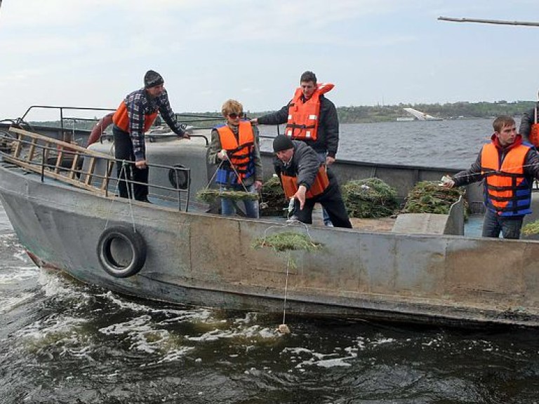 На Киевском водохранилище начали устанавливать искусственные нерестовые гнезда