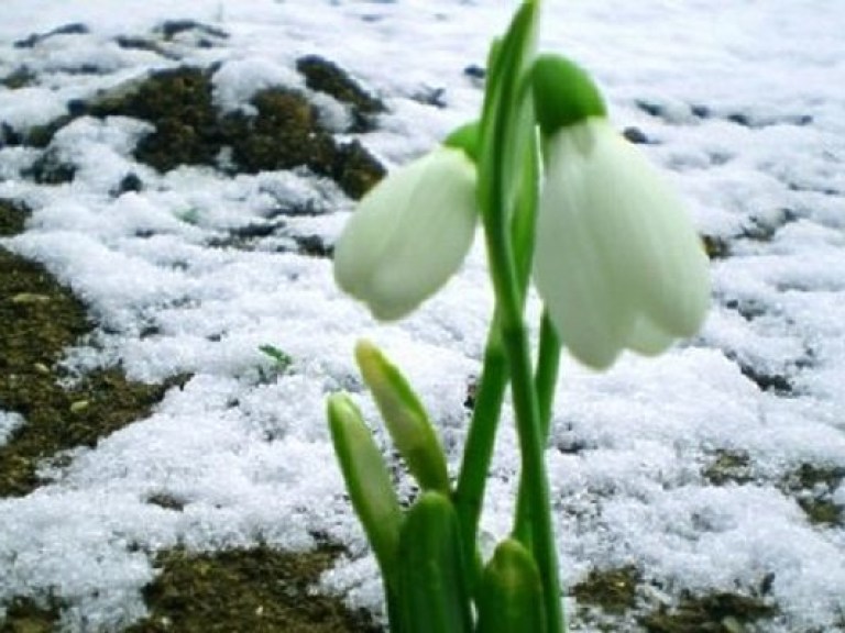 Синоптик: 15 апреля в Украине резко похолодает (КАРТА)