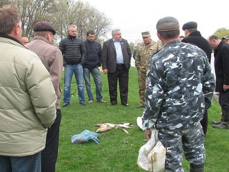 Массовую гибель рыбы зафиксировали в реке Случь в Житомирской области (ФОТО)