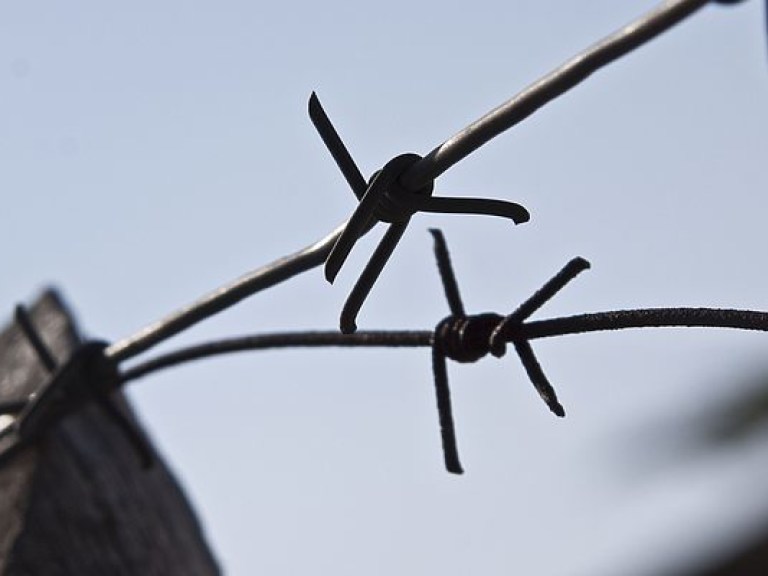 В Винницкой области 48 убийц​ досрочно вышли на свободу