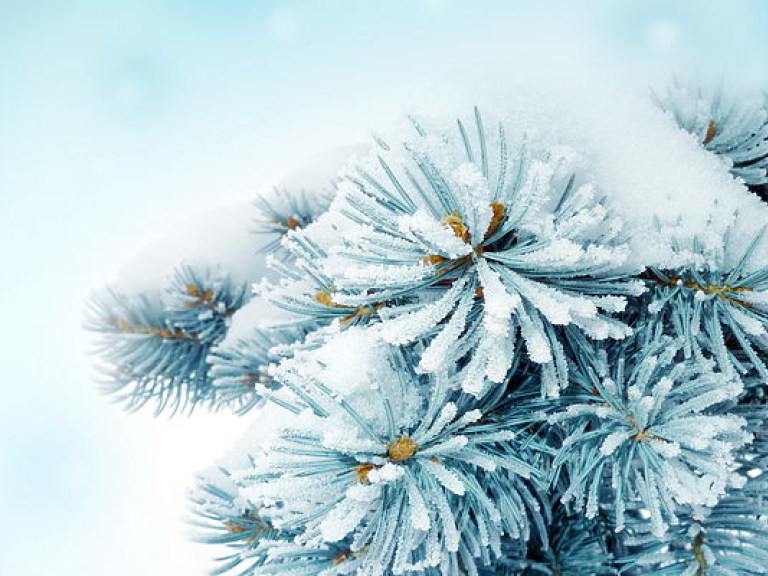 Синоптик: 29 лет назад в этот день в Киеве выпала месячная норма снега