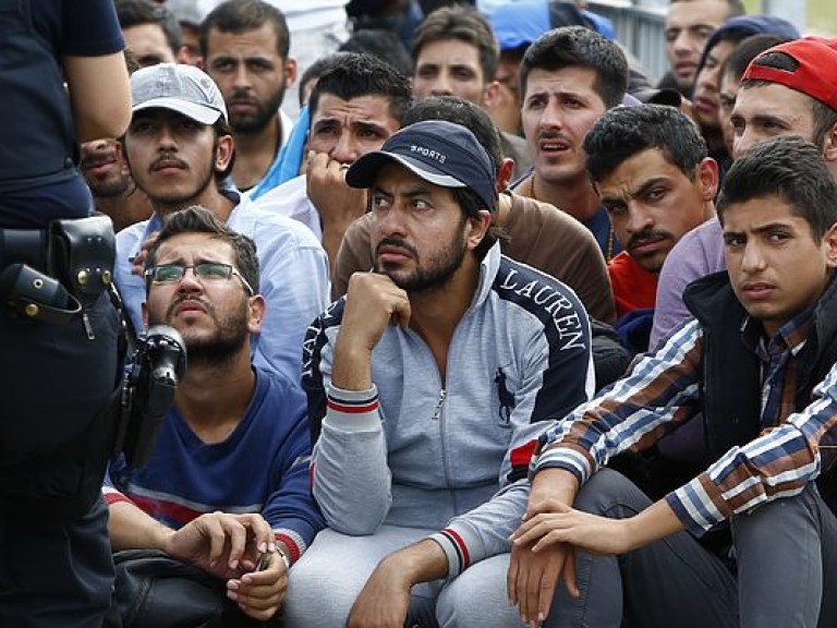 За оскорбление мигрантов немецкий суд оштрафовал политика  на круглую сумму